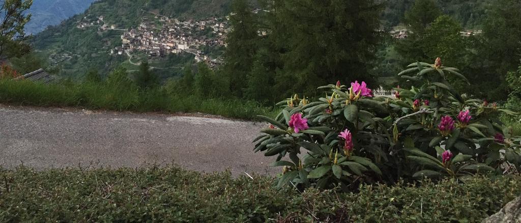 Ferienwohnung Le Vatzerou La Tzoumaz Exterior foto